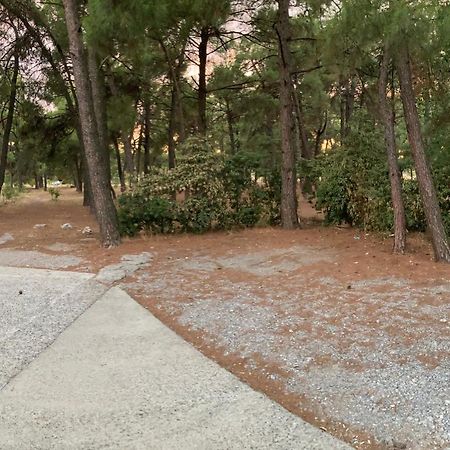 Apartamento Stan Na Dan Bogdan Podgorica Exterior foto