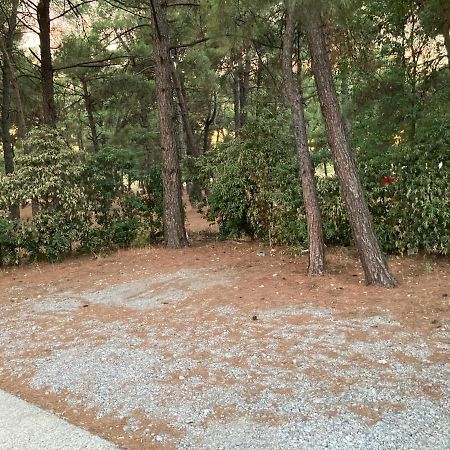 Apartamento Stan Na Dan Bogdan Podgorica Exterior foto