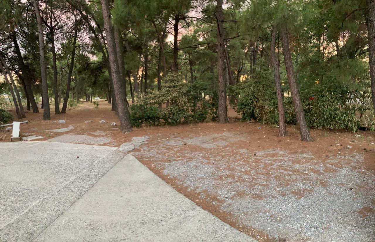 Apartamento Stan Na Dan Bogdan Podgorica Exterior foto